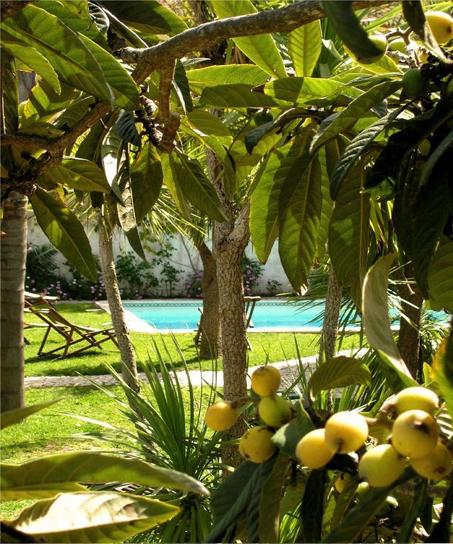 Uma Casa A Beira Sol Bed & Breakfast Lagos Exterior photo